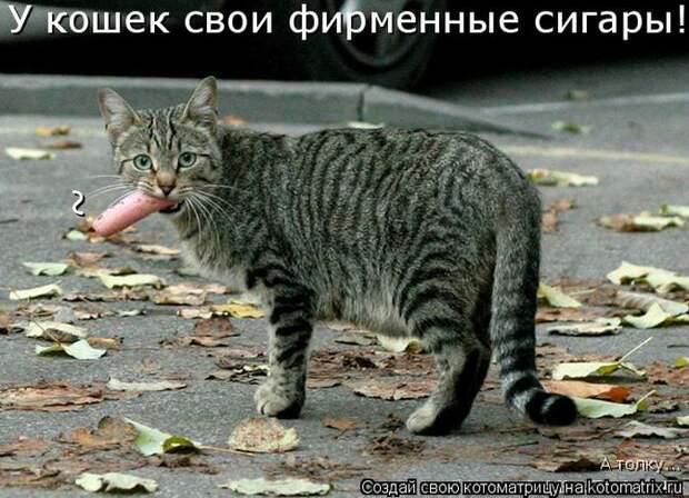 Мысли вслух :)