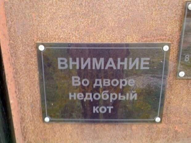 Шедевральные надписи и объявления  маразм, объявления, россия, юмор