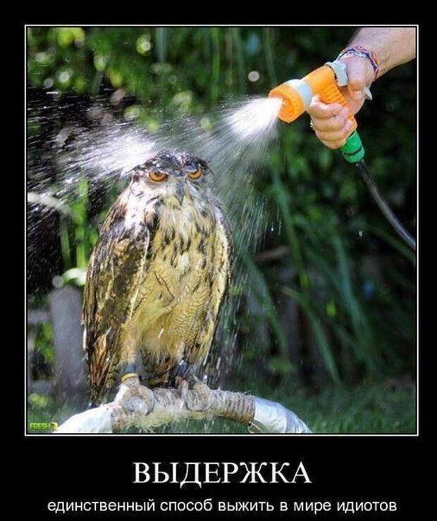 Выдержка - единственный способ выжить в мире идиотов демотиватор, юмор