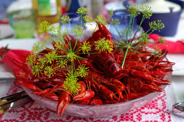 crayfish