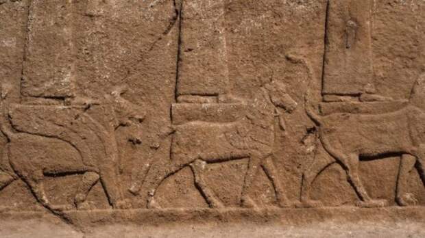 Блог - Уникальные 3000-летние ассирийские рельефы были обнаружены на территории Ирака Уникальные 3000-летние ассирийские рельефы были обнаружены на территории Ирака