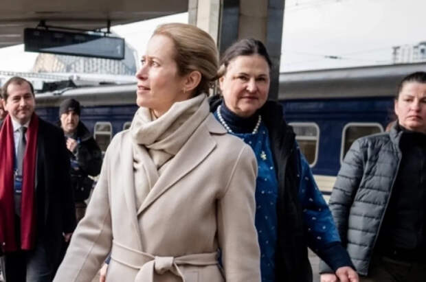 Экс-депутат Олейник раскрыл тайную цель внезапного приезда Каллас в Киев