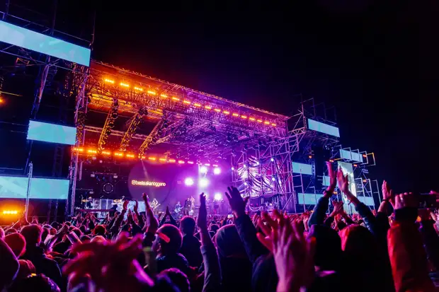 "Дикая Мята. GREEN" анонсировала новых участников и объявила, что билеты совсем скоро закончатся