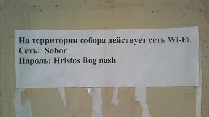 Прикольные картинки (91 фото)