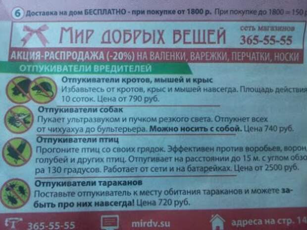 Народная креативность в надписях Народная креативность в надписях