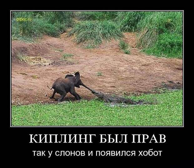 Сборник моих демотиваторов демотиватор, сборник
