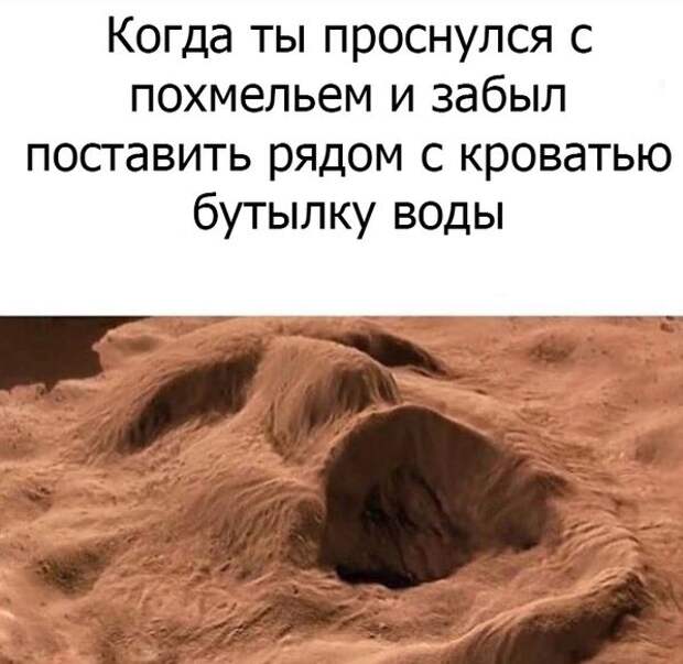 Прикольные картинки (93 фото) Прикольные картинки (93 фото)