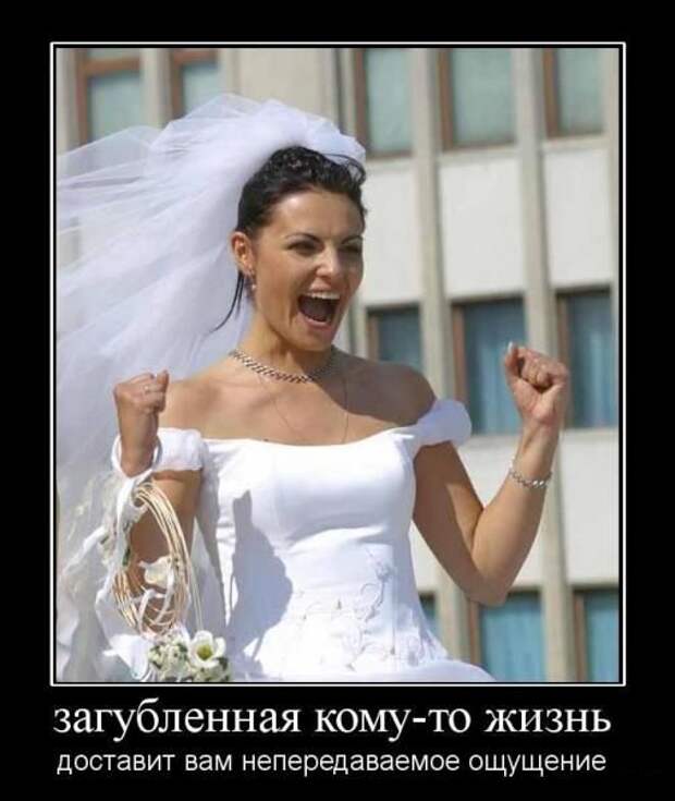 Демотиваторы (30 фото) Демотиваторы (30 фото)