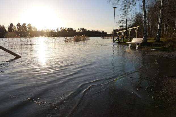 Хельсинки уйдет под воду к концу столетия
