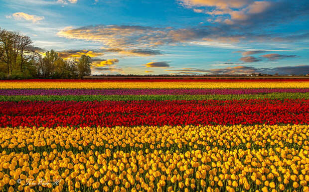 Самые счастливые страны в фотографиях