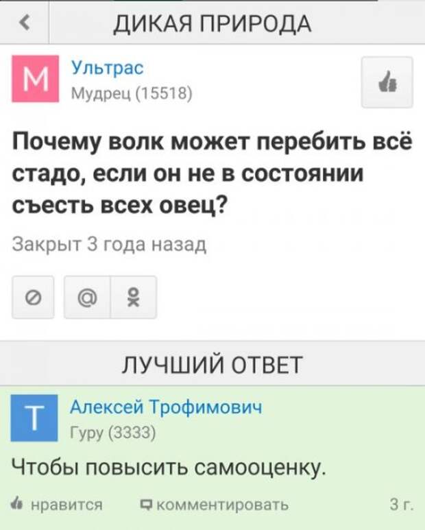 Прикольные картинки выходного дня (50 шт)
