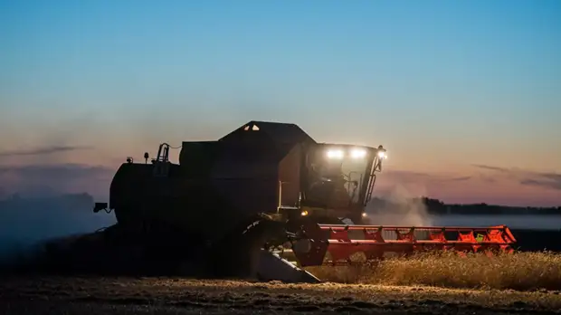 Компании Томской области экспортировали сельхозпродукции почти на $46 млн за год