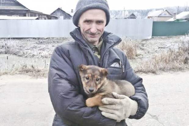 В городе Гаврилов-Ям всем миром спасали щенка из подземного плена