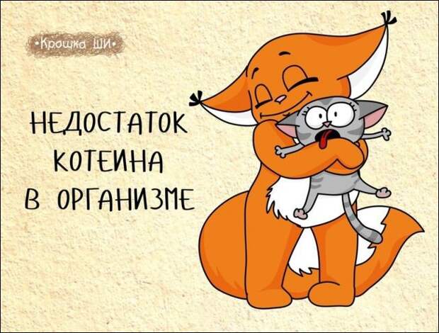 Девичья правда от белки Ши белка, рисунки