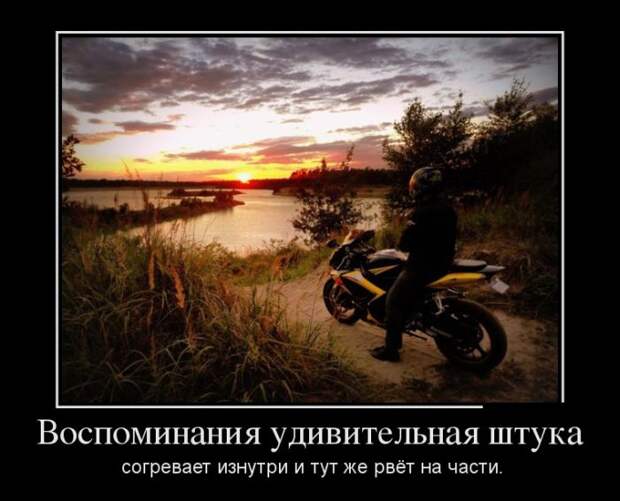 Демотиваторы (30 фото)