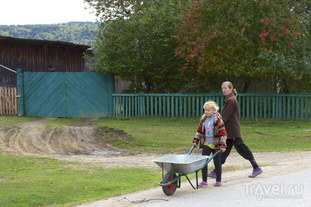 Колорит сибирской деревни / Фото из России
