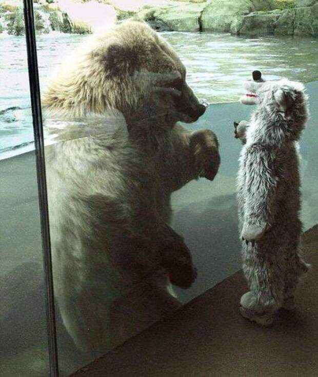 Прикольные картинки Прикольные картинки