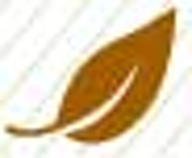 tea-leaf-black.jpg tea-leaf-black.jpg
