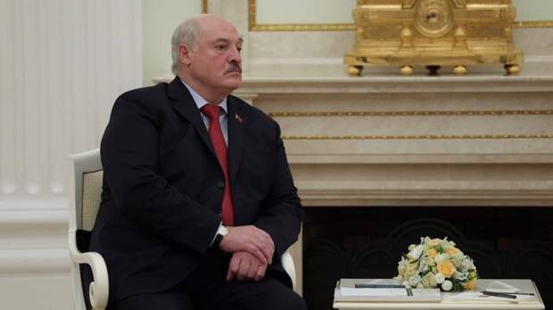 В Белоруссии подписали закон о приостановлении действия ДОВСЕ