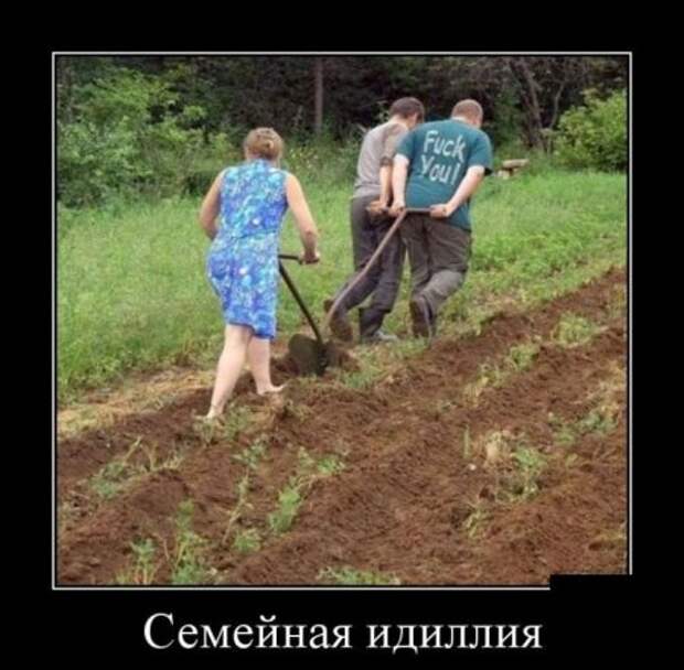 Картинки в черных рамках