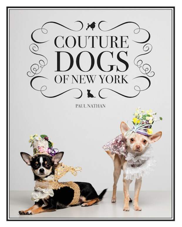 Модные собаки Нью-Йорка от Поля Натана (США)