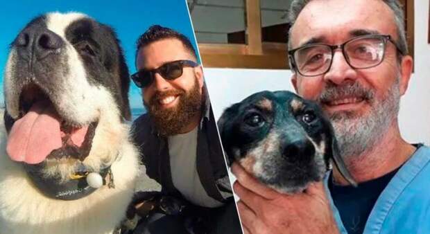 20 очаровательных щенков, которые выросли в больших прекрасных псов