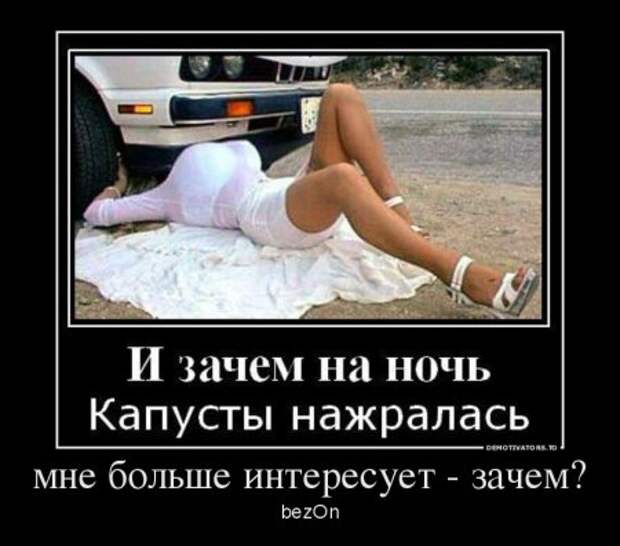 Демотиваторы, наши прикольные цитаты.