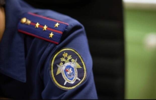 Председатель СК России затребовал доклад о ходе расследования обстоятельств получения мужчиной телесных повреждений в результате нападения безнадзорных собак в Татарстане