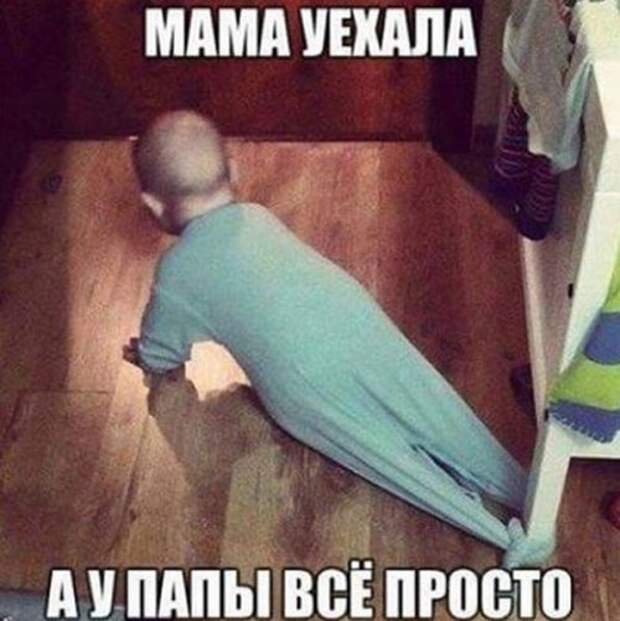 Смешные фото и картинки (39 шт)