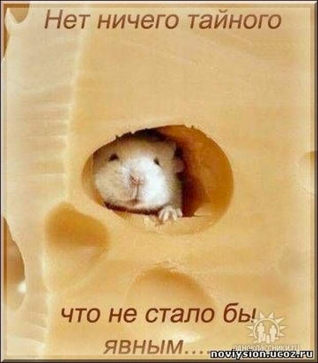 НЕТ  НИЧЕГО  ТАЙНОГО,  ЧТО  НЕ  СТАЛО  БЫ  ЯВНЫМ...