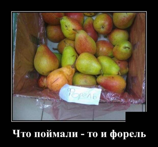Демотиваторы (30 фото)