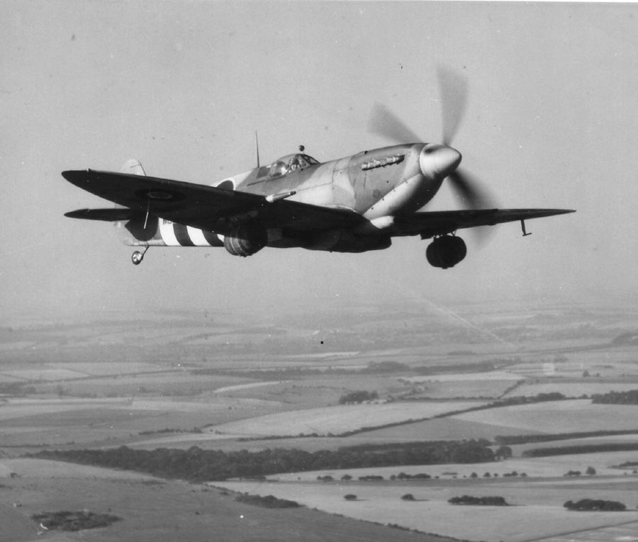 Spitfire_beer3 Spitfire_beer3