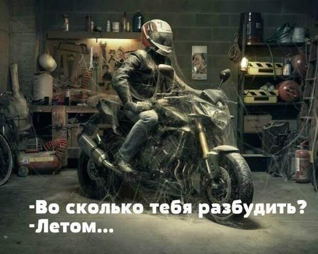 Подборка автоприколов