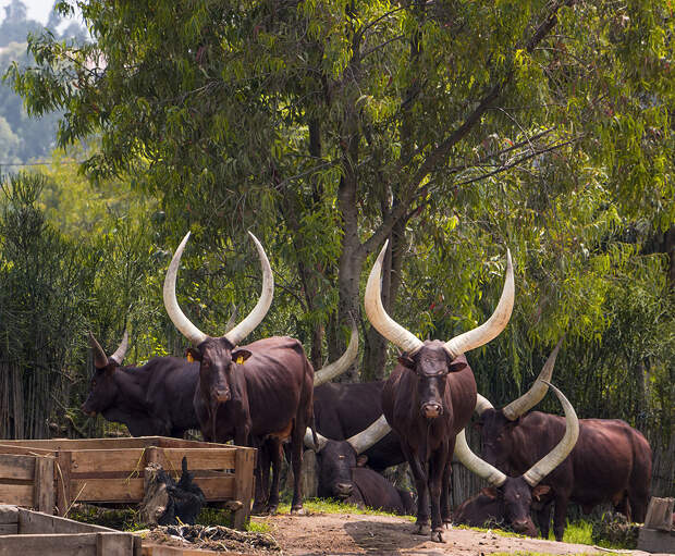 0_ae61f_ea6c007c_XXL