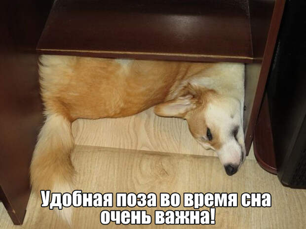 Прикольные картинки Прикольные картинки