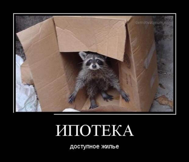 Обо всём.