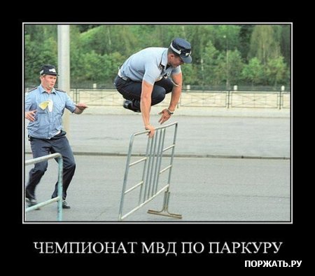 демотиваторы приколы