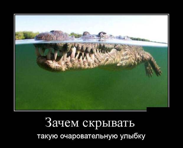 Зачем скрывать такую очаровательную улыбку демотиватор, юмор