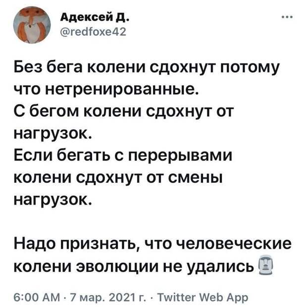 Всё, что нужно знать про колени Всё, что нужно знать про колени