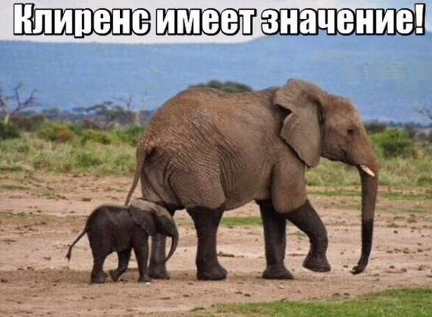 Очередная подборка автоприколов автоприколы, приколы