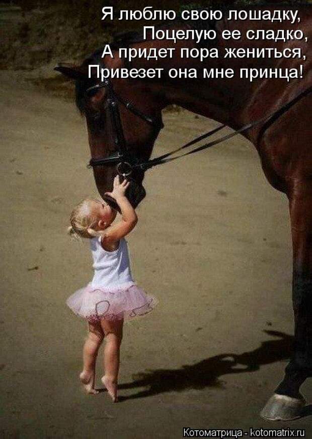 Котоматрица: Я люблю свою лошадку, Поцелую ее сладко, А придет пора жениться, Привезет она мне принца!