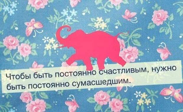 Классная подборка цитат