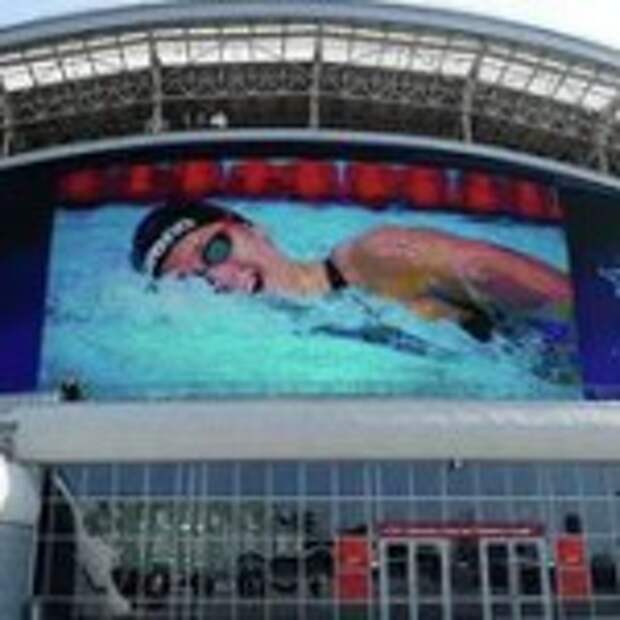 чемпионат мира по водным видам спорта
