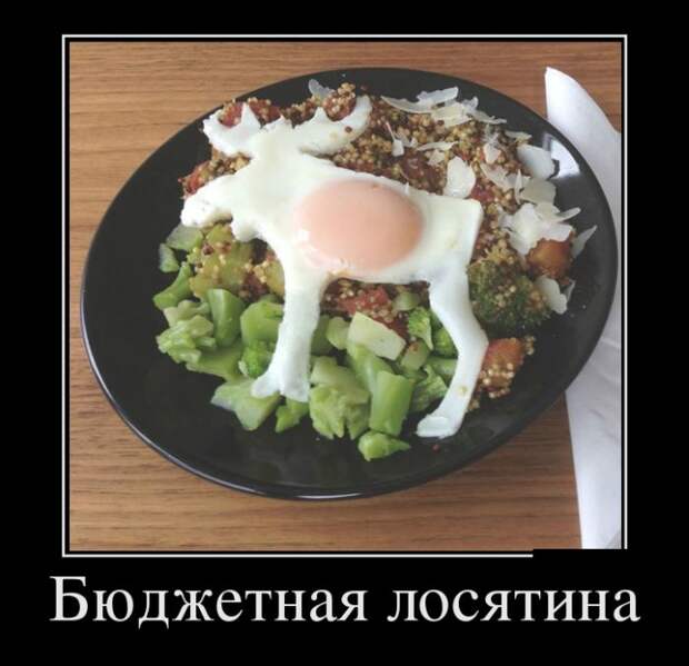 Демотиваторы №1114 (30 фото)