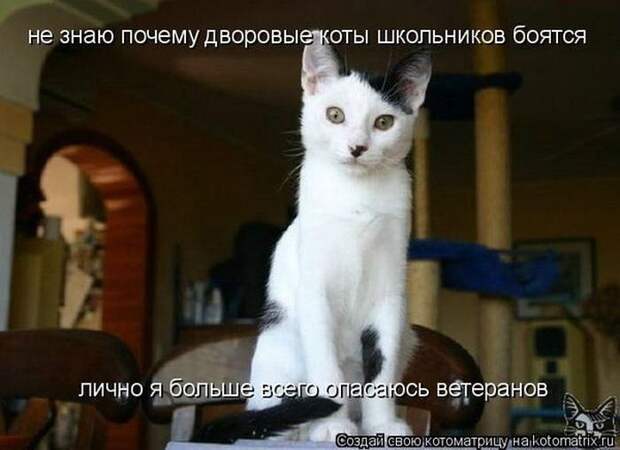 Мысли вслух :)