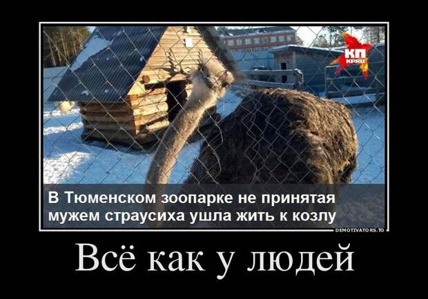 Демотиваторы