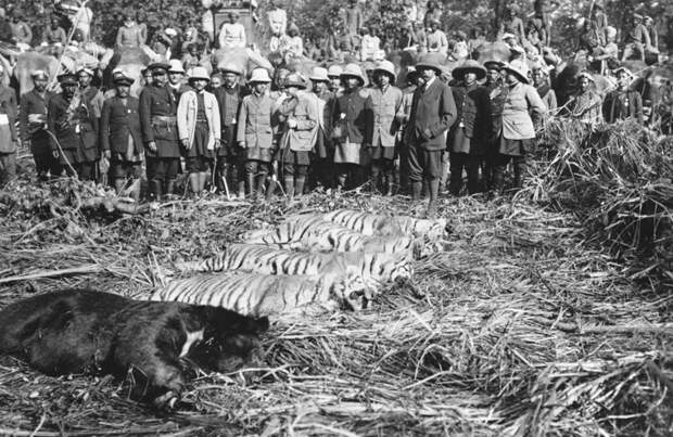 Архивные фотографии, которые вас обязательно поразят Архивные фотографии, которые вас обязательно поразят архив, история, фото