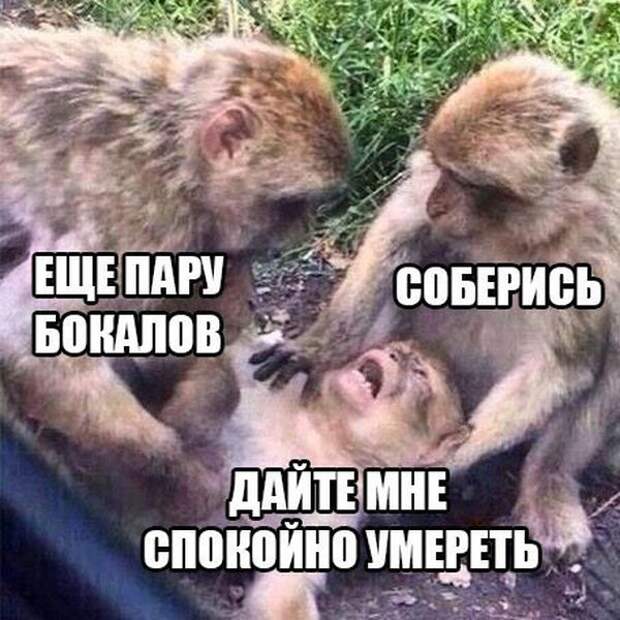 ПОДБОРКА ФОТОПРИКОЛОВ № 358 ПОДБОРКА ФОТОПРИКОЛОВ № 358