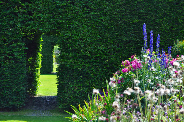 levenshall 27 Сад Левенс Холл