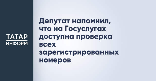 Депутат напомнил, что на Госуслугах доступна проверка всех зарегистрированных номеров